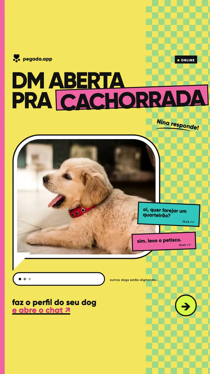 Story amarelo com o título “DM aberta pra cachorrada”, a foto de um golden retriever filhote e duas mensagens de chat ao lado.