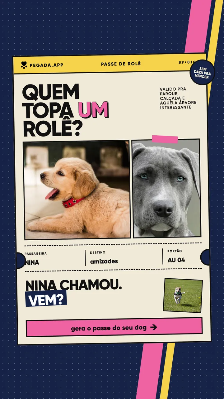 Story em forma de ticket, com a pergunta “Quem topa um rolê?”, as fotos de dois cachorros e os campos passageira, destino e portão.