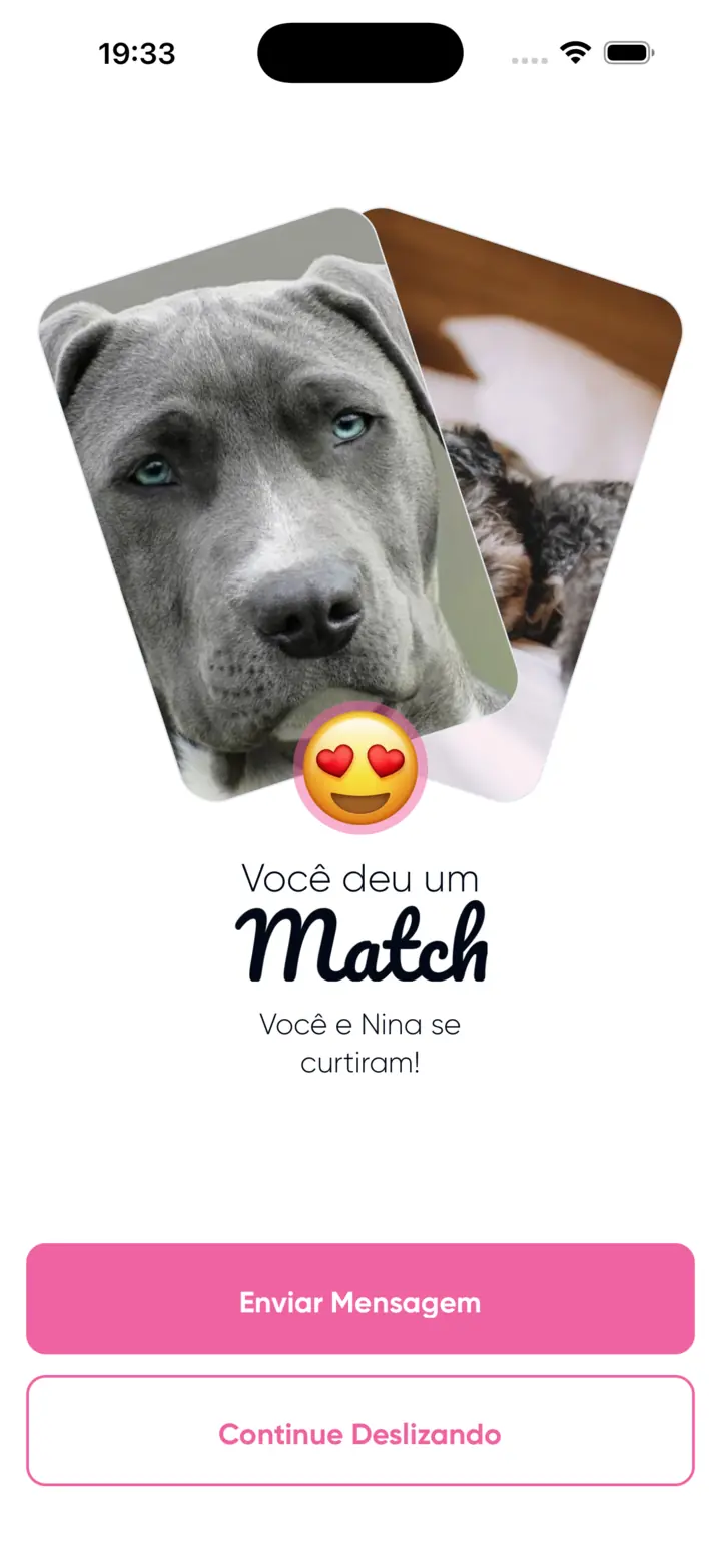 A tela de match do Pegada, com as fotos dos dois cachorros sobrepostas embaixo da palavra Match.