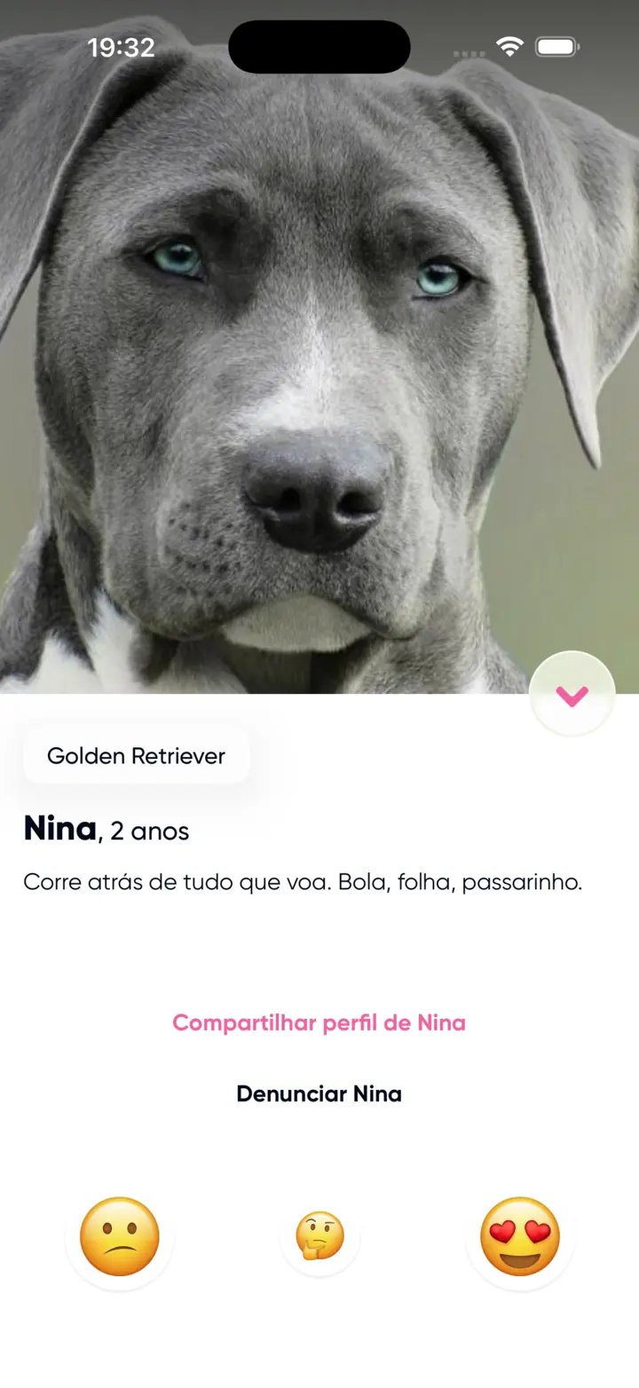O perfil de um cachorro no Pegada, com raça, idade e uma descrição curta abaixo da foto.