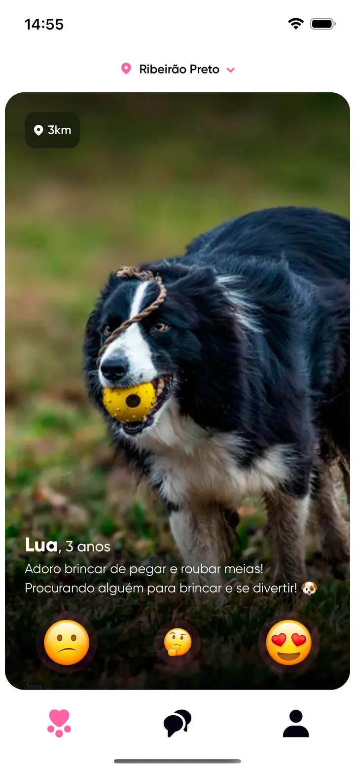 A tela de swipe do Pegada: o card de um cachorro ocupando a tela, a distância no canto, o nome e a idade embaixo.
